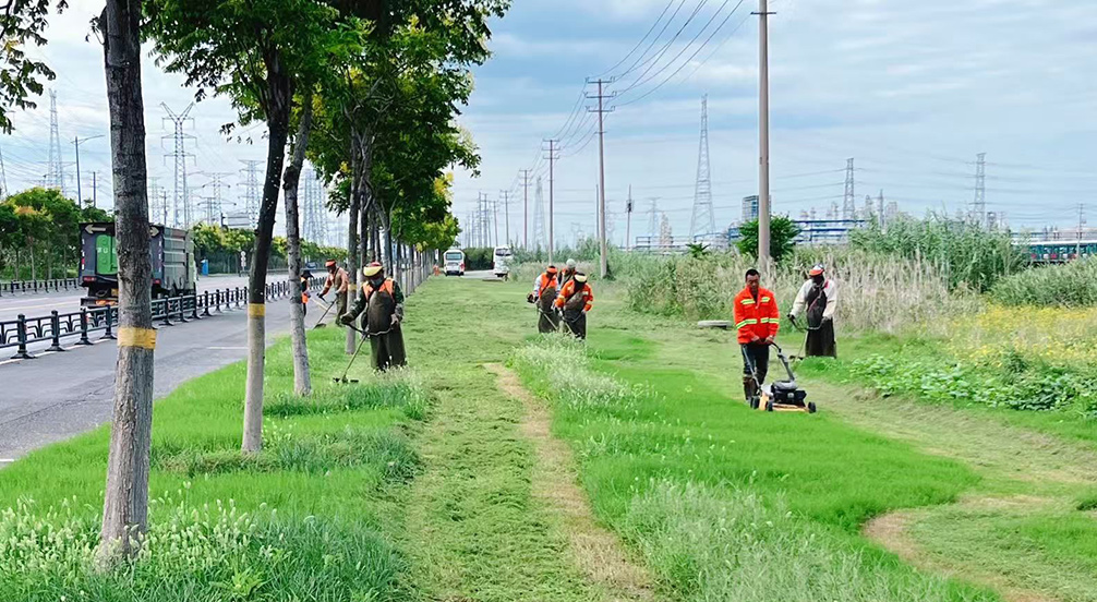 402f9d9df9a9202570760d5ab0269f56