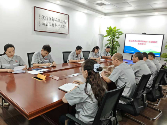 連云港江山神絲新材料有限公司召開(kāi)支部成立會(huì)議